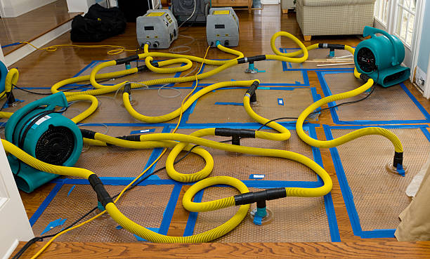 Professional Storm Water Damage Restoration technician working in Catlett, VA